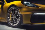 Porsche 718 Cayman GT4 2019 года (WW)